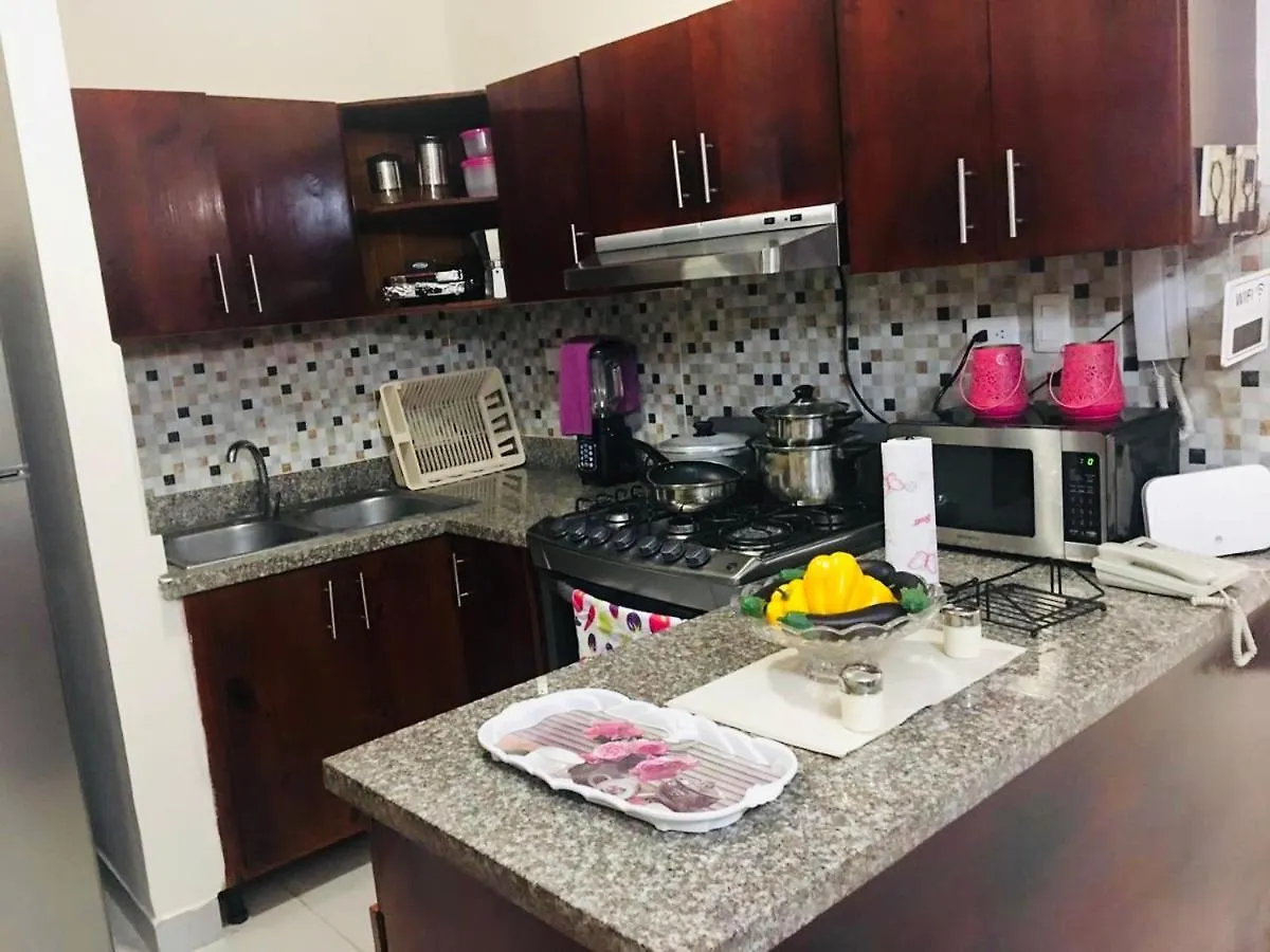 Apartamento Amueblado En Santiago Rd Apartament Santiago De Los Caballeros
